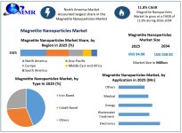 Magnetite-Nanoparticles-Market-Growth.jpg